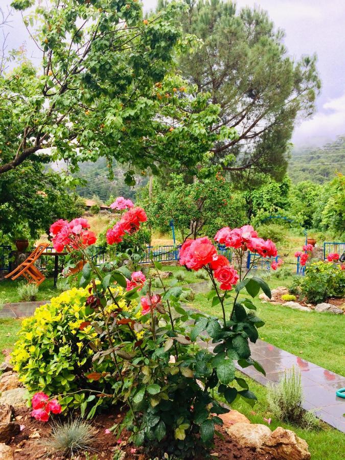 Alp Inn Villas Turunc Εξωτερικό φωτογραφία